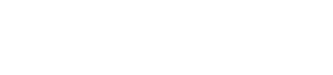 deseiner.de